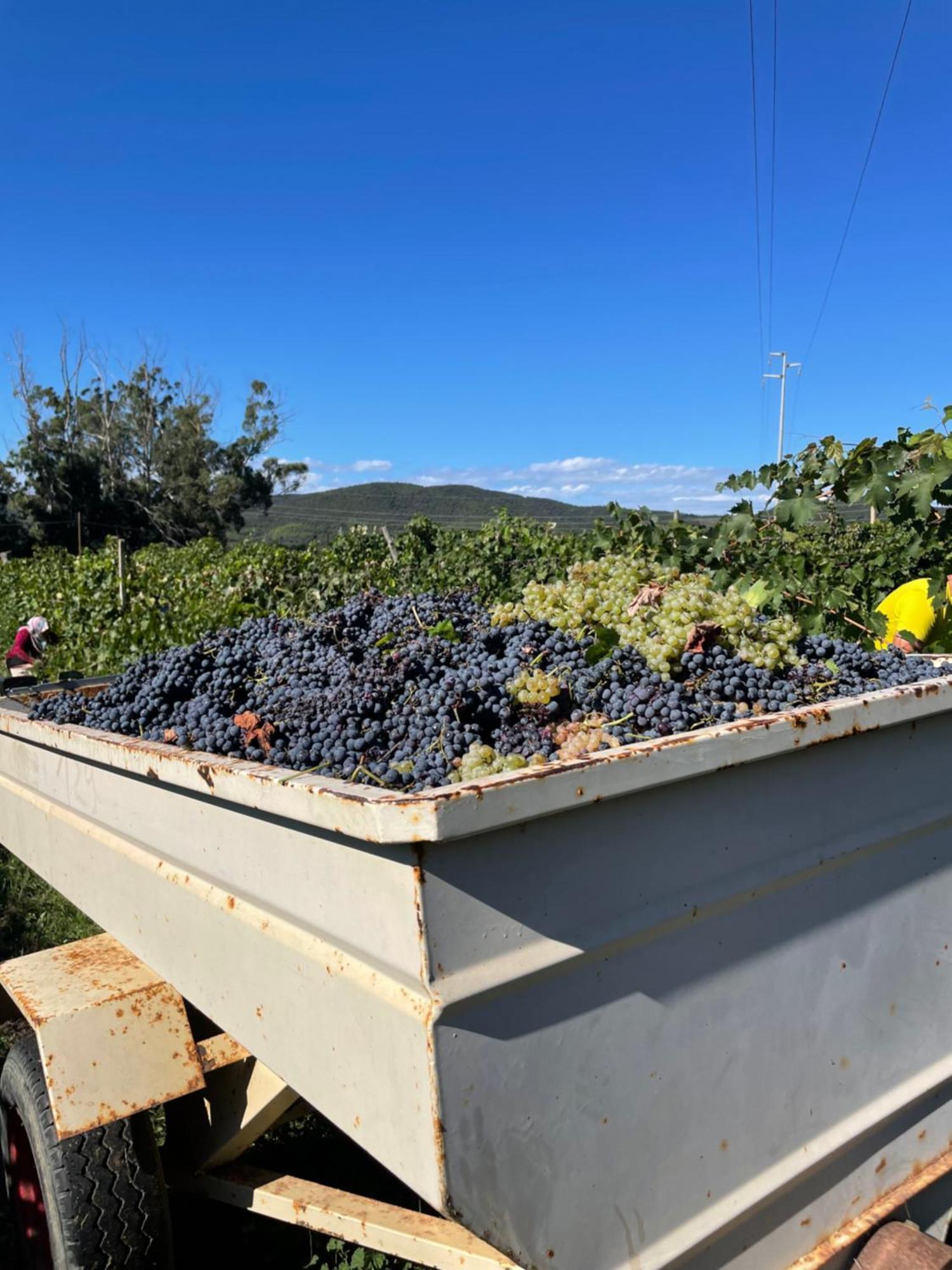 Agriturismo Podere Valdo Gavorrano Luaran gambar