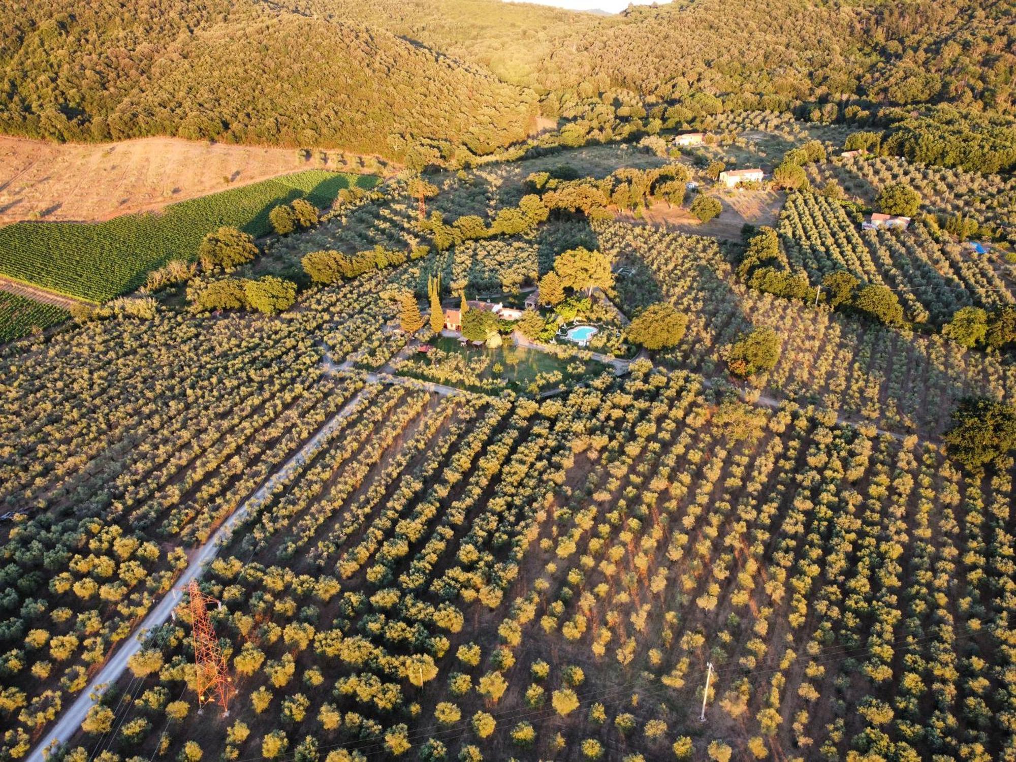 Agriturismo Podere Valdo Gavorrano Luaran gambar
