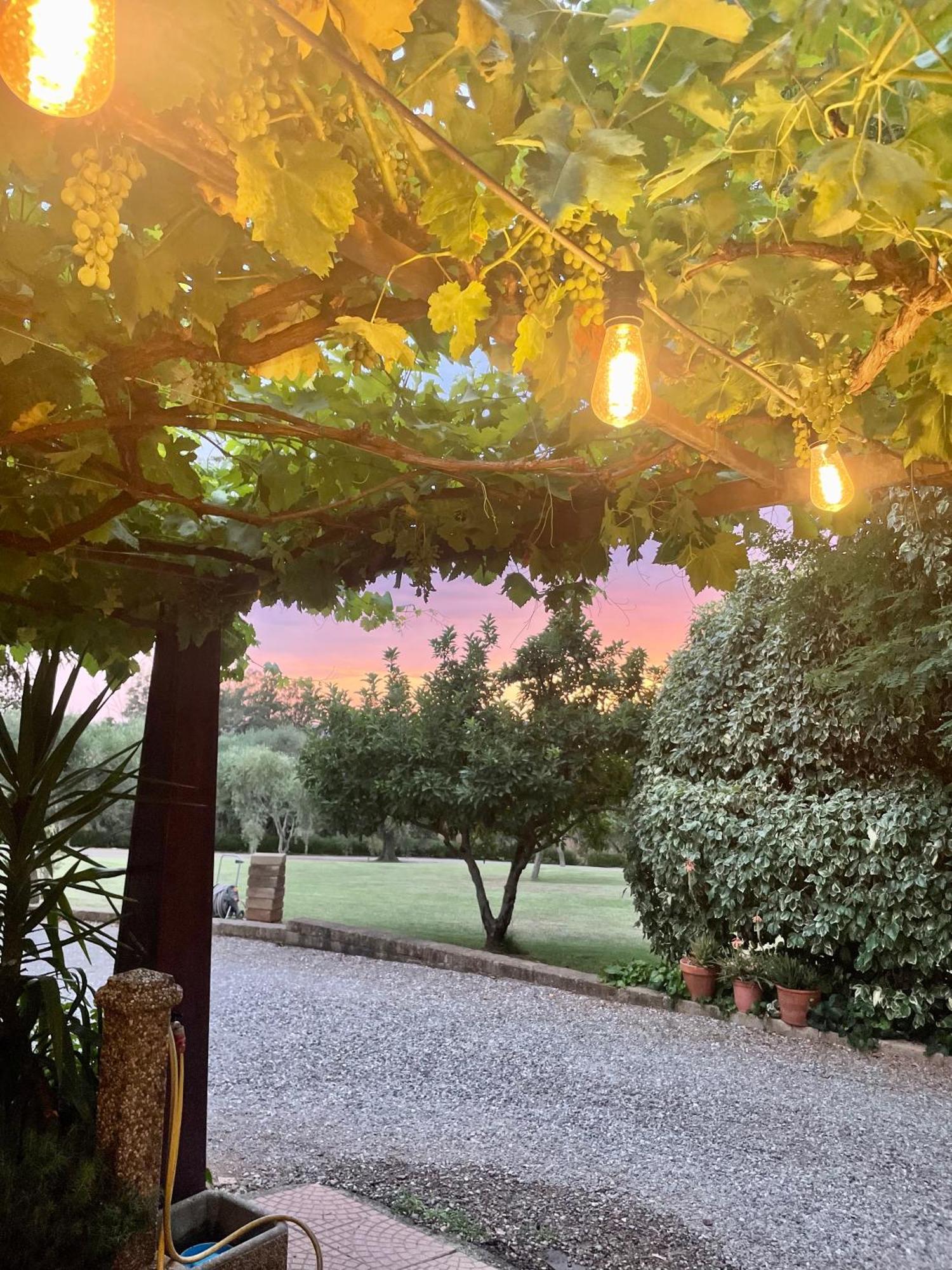 Agriturismo Podere Valdo Gavorrano Luaran gambar